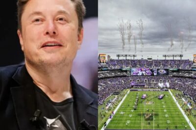 BREAKING NEWS: Elon Musk officially banned from all upcoming games after Baltimore Ravens announcement