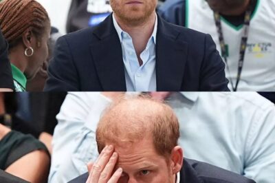 Prince Harry’s secret visa files released – but key question remains over drug use