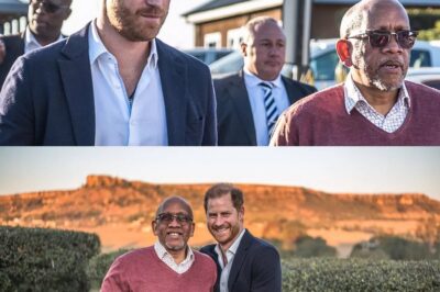 ‘Heartbroken’ Prince Harry quits his own charity inspired by Princess Diana amid bitter row