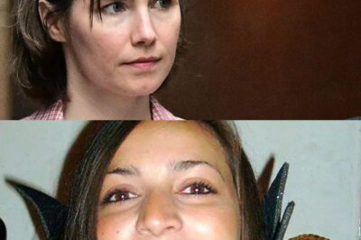 Amanda Knox lashes out at Miranda Kercher’s family lawyer as he slams ‘disrespectful’ memoir