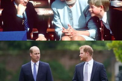 Prince Harry risks breaking long-held William promise with ‘astonishing’ Netflix move