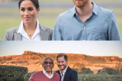 Meghan Markle decision that ‘fuelled Prince Harry’s shock charity resignation’
