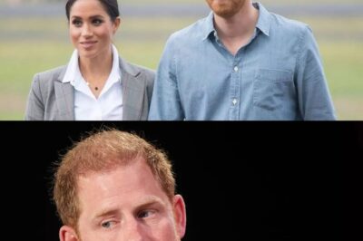 Distraught Prince Harry ‘feels like he’s had his fingers cut off’ as charity chaos deepens