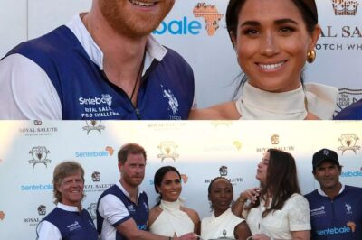 ‘I know Prince Harry – here’s why Meghan being dragged into charity row really stings’