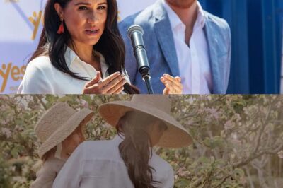 Prince Harry ‘not overly happy with key Meghan Markle decision involving kids’