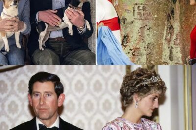 JENNIE BOND ‘Princess Diana was right all along with Charles and Camilla prediction’