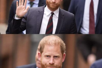 Prince Harry flashes a smirk at court as battle over taxpayer funded security continues